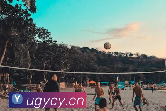 leyu网页发展历程